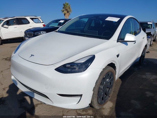 2023 TESLA MODEL Y 7SAYGDEE6PF870456 Photo 1