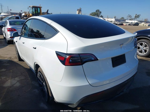 2023 TESLA MODEL Y 7SAYGDEE6PF870456 Photo 2