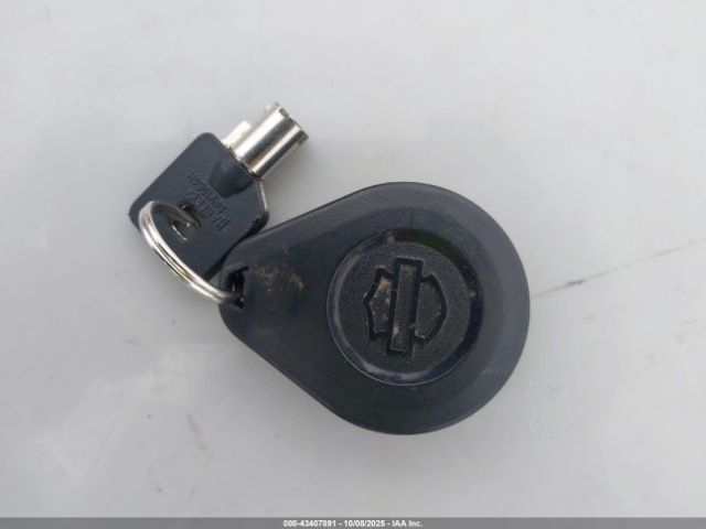 2019 HARLEY-DAVIDSON FLHXS 1HD1KRP14KB656838 Photo 10