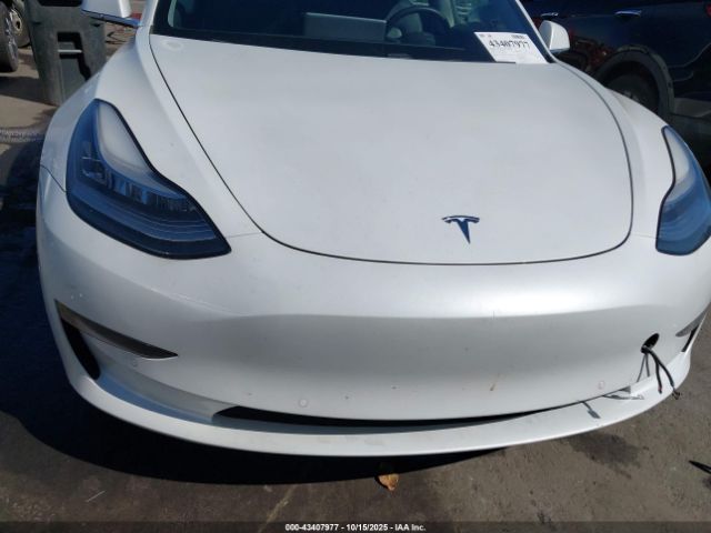 2020 TESLA MODEL 3 5YJ3E1EA4LF645407 Photo 5