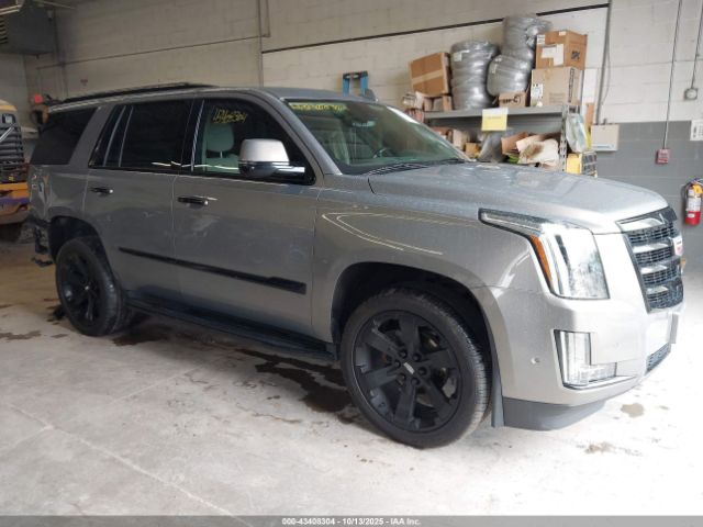 2019 CADILLAC ESCALADE 1GYS4BKJ5KR239163