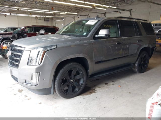 2019 CADILLAC ESCALADE 1GYS4BKJ5KR239163 Photo 1