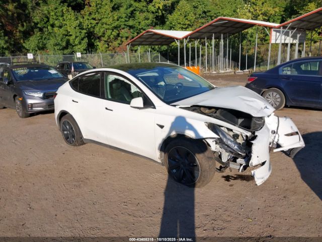 2021 TESLA MODEL Y 5YJYGDEE8MF199767 Photo 0