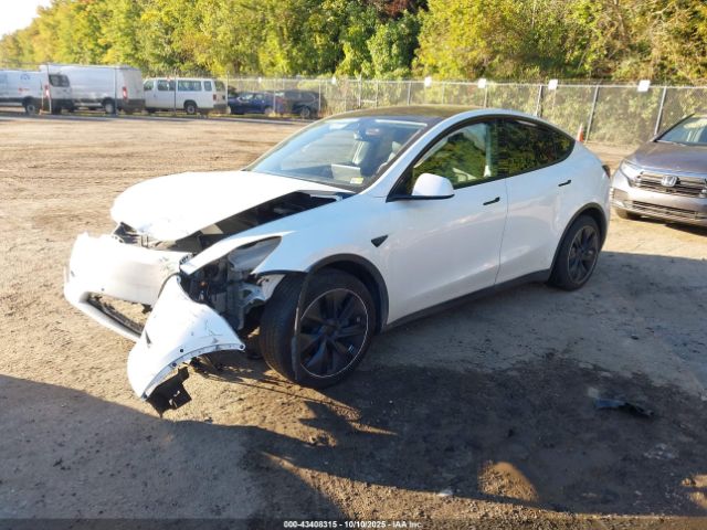 2021 TESLA MODEL Y 5YJYGDEE8MF199767 Photo 1