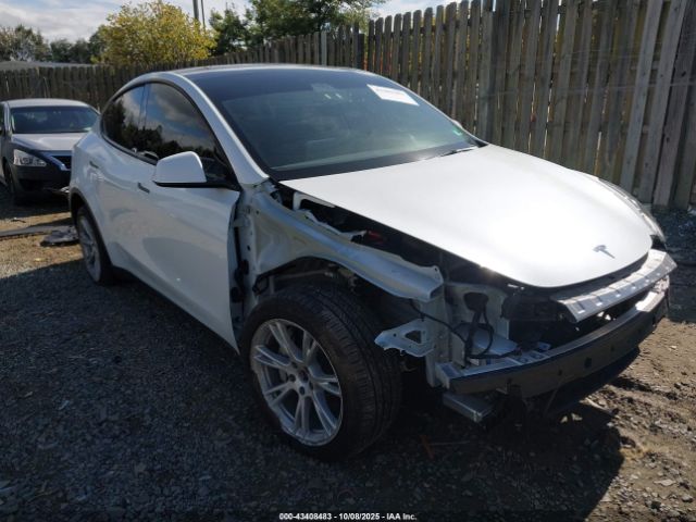 2024 TESLA MODEL Y 7SAYGDEE0RA271052 Photo 0