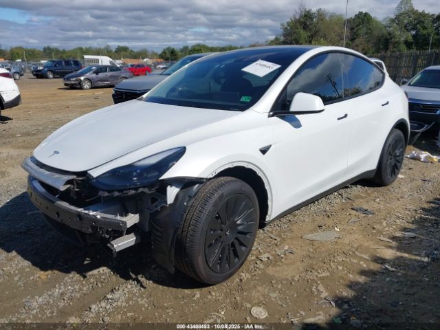 2024 TESLA MODEL Y 7SAYGDEE0RA271052 Photo 1