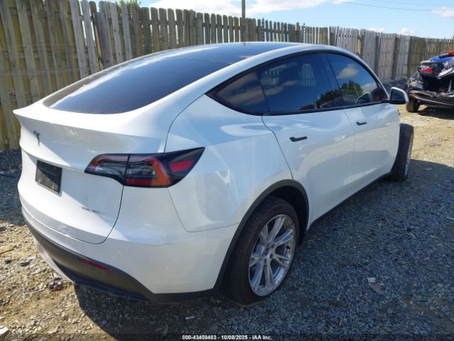 2024 TESLA MODEL Y 7SAYGDEE0RA271052 Photo 3