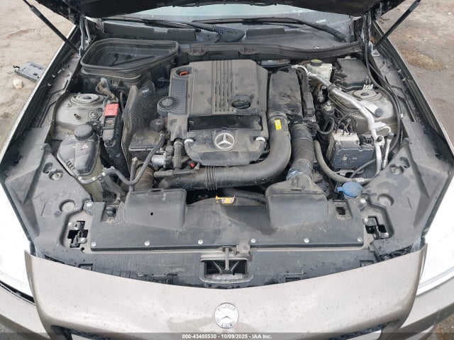 Mercedes-Benz SLK 250 2014 WDDPK4HA4EF090082 Image 10
