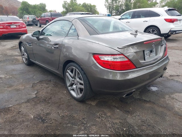 Mercedes-Benz SLK 250 2014 WDDPK4HA4EF090082 Image 3