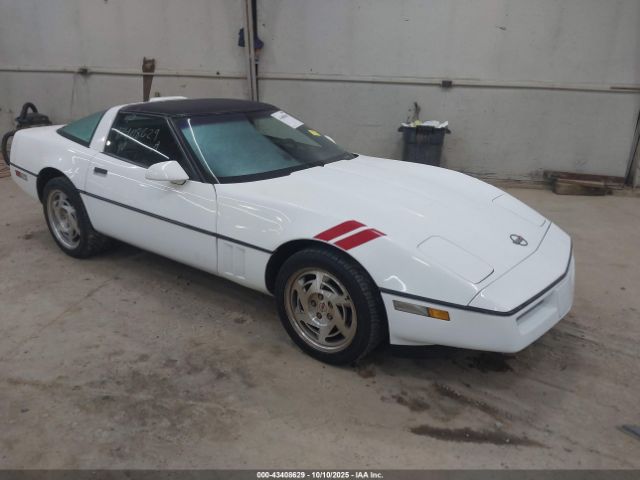 1990 CHEVROLET CORVETTE 1G1YY238XL5116900