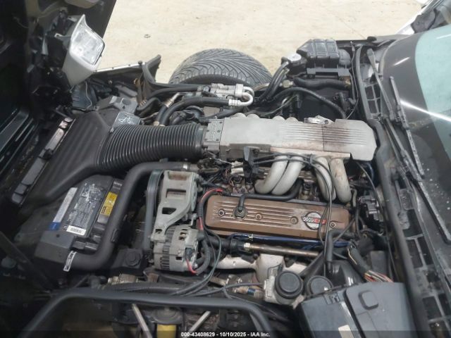 1990 CHEVROLET CORVETTE 1G1YY238XL5116900 Photo 9