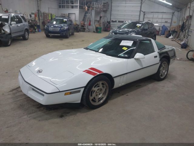 1990 CHEVROLET CORVETTE 1G1YY238XL5116900 Photo 1
