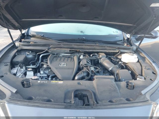 2024 LEXUS RX 500H 2T2BCMEA2RC018409 Photo 9