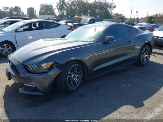2017 FORD MUSTANG 1FA6P8TH2H5344715 Photo 1