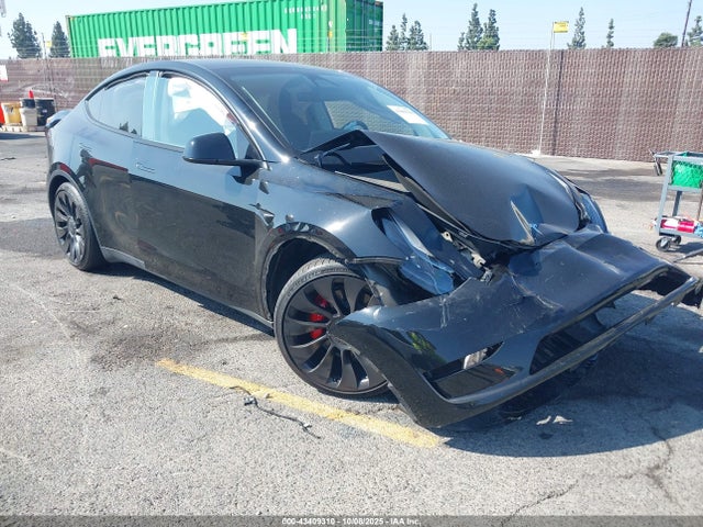 2023 TESLA MODEL Y 7SAYGDEF6PF794665 Photo 0