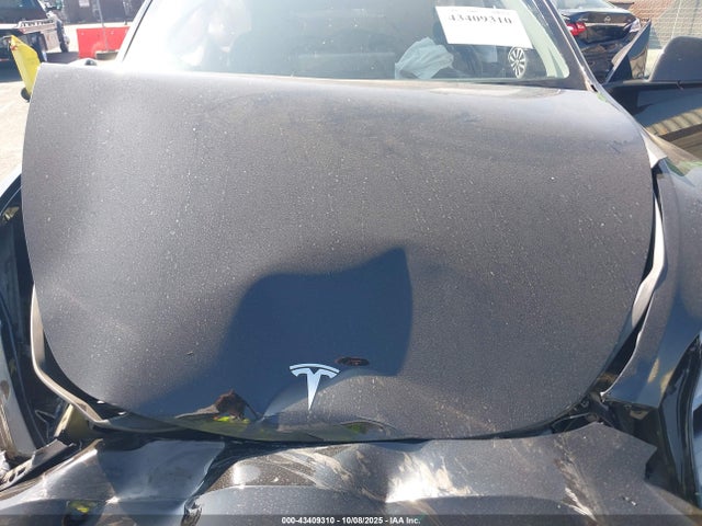 2023 TESLA MODEL Y 7SAYGDEF6PF794665 Photo 9