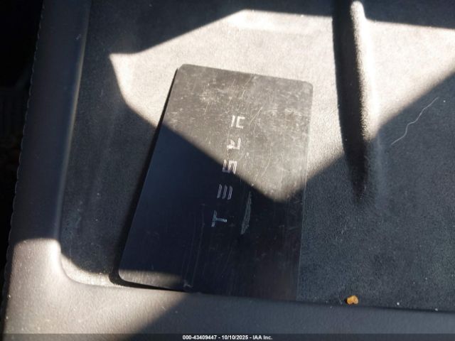 2025 TESLA MODEL 3 5YJ3E1EA1SF978422 Photo 10