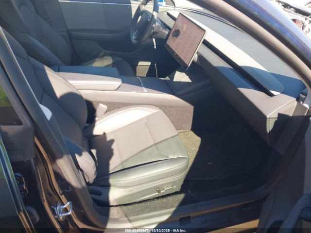 2025 TESLA MODEL 3 5YJ3E1EA1SF978422 Photo 4