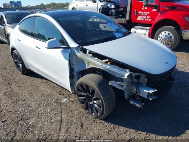 2024 TESLA MODEL Y 7SAYGDEFXRA266725 Photo 0