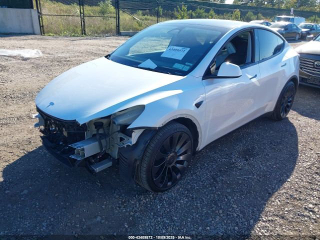 2024 TESLA MODEL Y 7SAYGDEFXRA266725 Photo 1