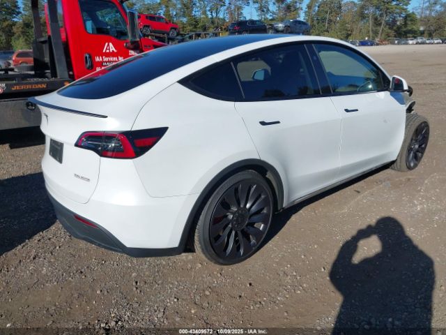 2024 TESLA MODEL Y 7SAYGDEFXRA266725 Photo 3