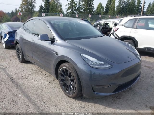 2021 TESLA MODEL Y 5YJYGDEE5MF072085 Photo 0