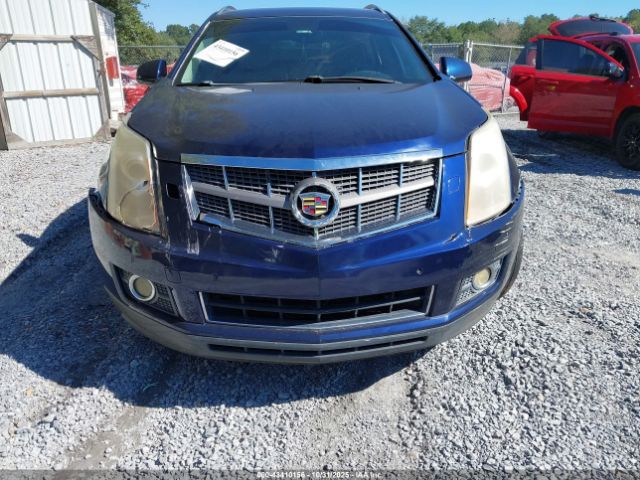 2010 CADILLAC SRX 3GYFNBEY7AS542528 Photo 5