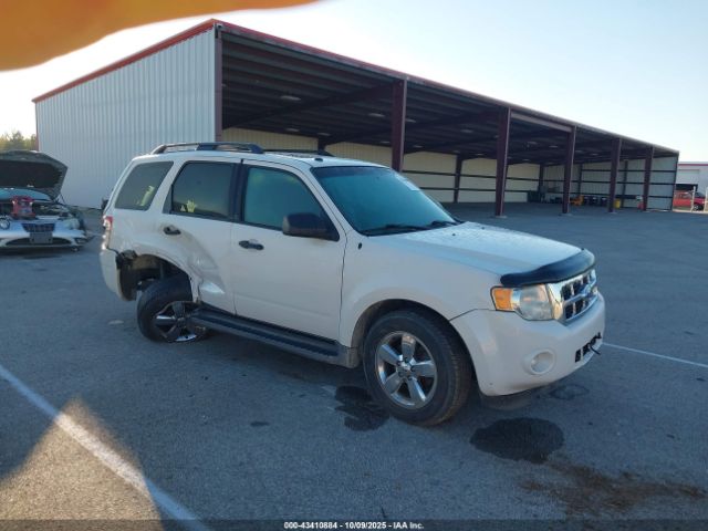 2009 FORD ESCAPE 1FMCU93739KA63072