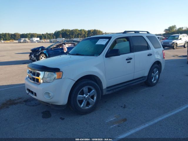 2009 FORD ESCAPE 1FMCU93739KA63072 Photo 1