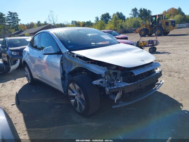 2023 TESLA MODEL Y 7SAYGDEE0PA121598 Photo 0