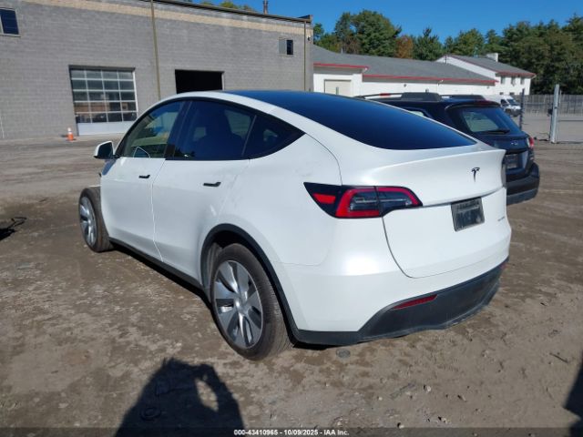 2023 TESLA MODEL Y 7SAYGDEE0PA121598 Photo 2