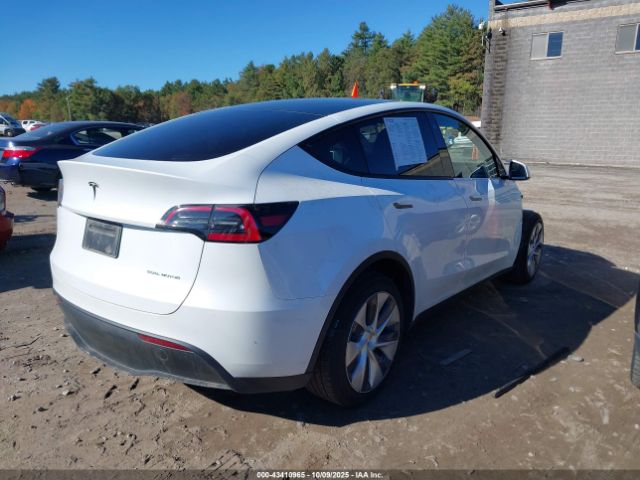 2023 TESLA MODEL Y 7SAYGDEE0PA121598 Photo 3