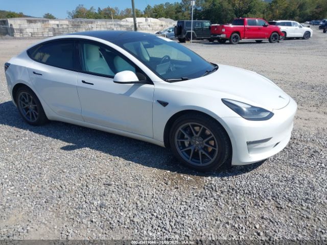 2021 TESLA MODEL 3 5YJ3E1EBXMF975837 Photo 0