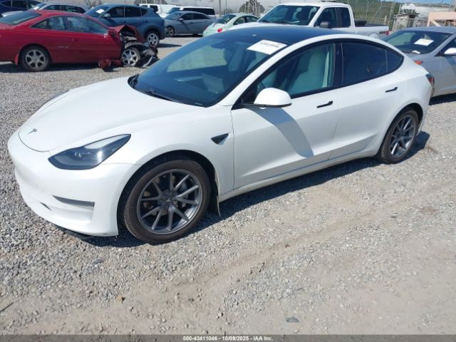 2021 TESLA MODEL 3 5YJ3E1EBXMF975837 Photo 1