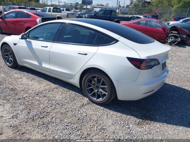 2021 TESLA MODEL 3 5YJ3E1EBXMF975837 Photo 2