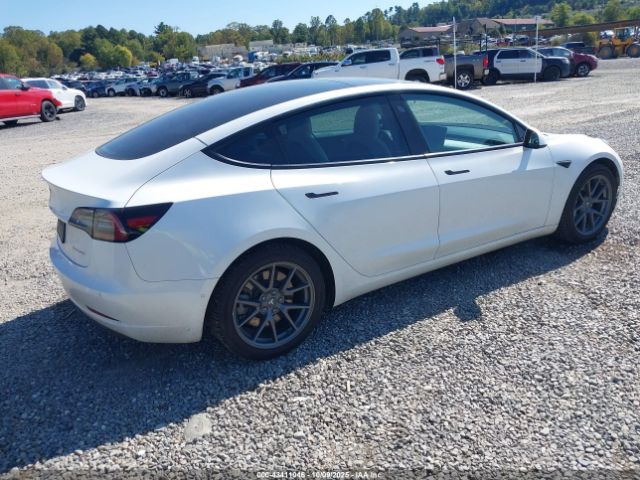 2021 TESLA MODEL 3 5YJ3E1EBXMF975837 Photo 3