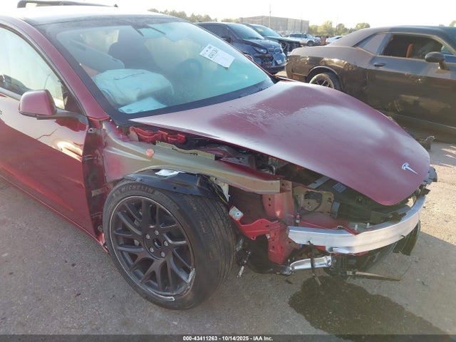 2025 TESLA MODEL 3 5YJ3E1EA7SF077975 Photo 5