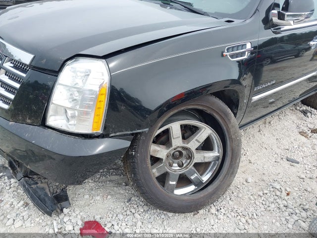 2010 CADILLAC ESCALADE 1GYUKCEF7AR229566 Photo 5