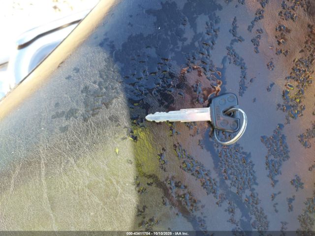 2004 YAMAHA XVS1100 JYAVP11E34A059895 Photo 10