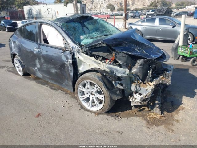 2024 TESLA MODEL Y 7SAYGDEE0RF079441 Photo 0