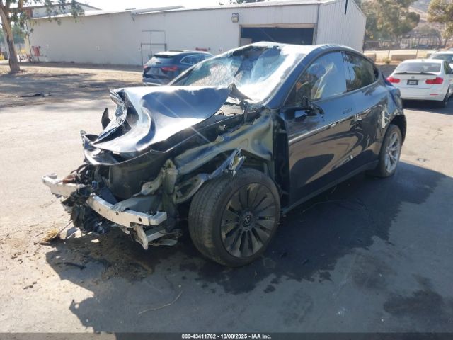 2024 TESLA MODEL Y 7SAYGDEE0RF079441 Photo 1