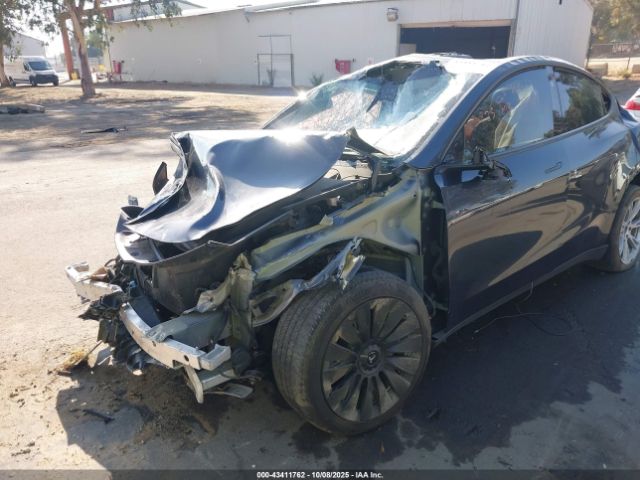 2024 TESLA MODEL Y 7SAYGDEE0RF079441 Photo 5