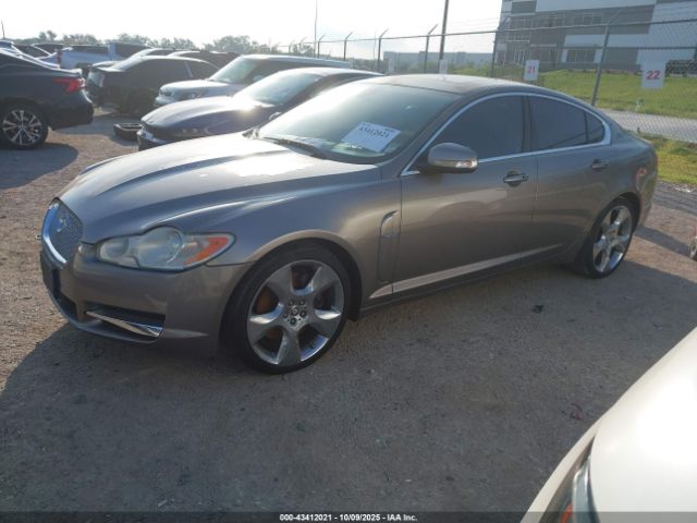2009 JAGUAR XF SAJWA07C691R31554 Photo 1