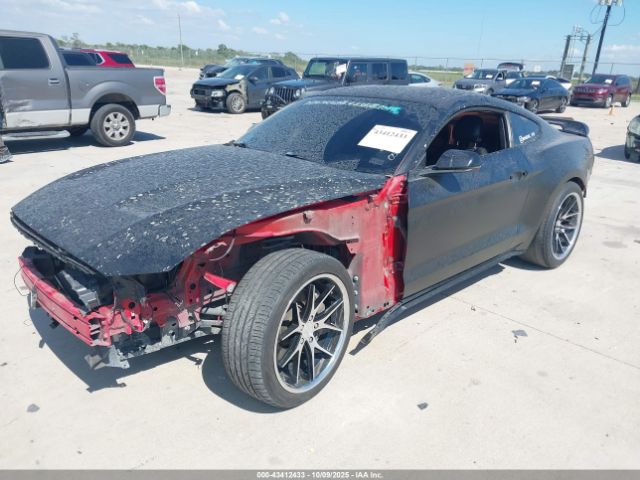 2019 FORD MUSTANG 1FA6P8CFXK5150570 Photo 1