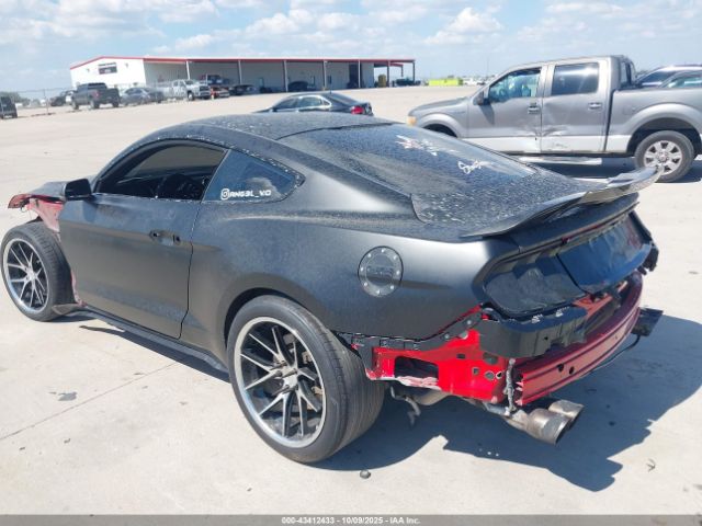 2019 FORD MUSTANG 1FA6P8CFXK5150570 Photo 2