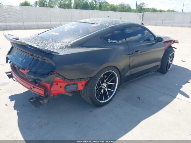 2019 FORD MUSTANG 1FA6P8CFXK5150570 Photo 3