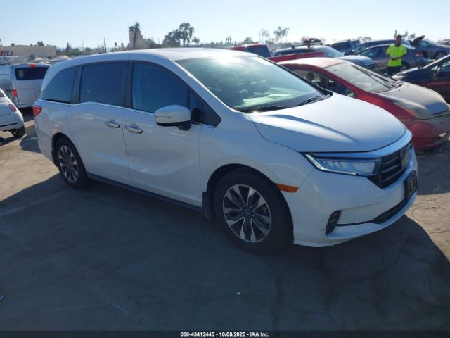 2022 HONDA ODYSSEY 5FNRL6H76NB064409