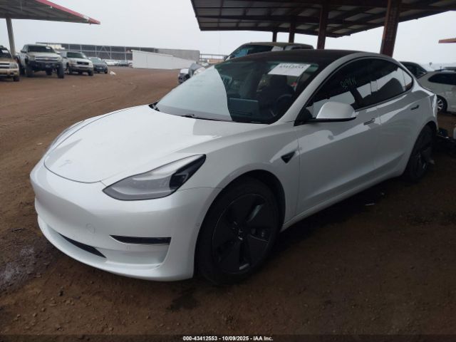 2021 TESLA MODEL 3 5YJ3E1EA2MF929846 Photo 1