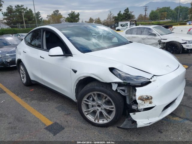 2023 TESLA MODEL Y 7SAYGAEE2PF763662 Photo 0