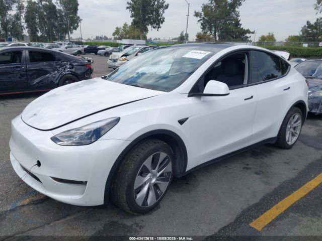 2023 TESLA MODEL Y 7SAYGAEE2PF763662 Photo 1